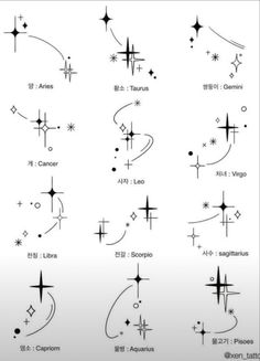 zodiac symbols and their meanings are shown in this diagram, which shows the different signs