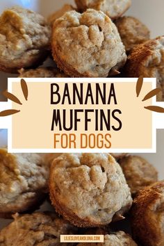 These banana peanut butter dog treats are easy, healthy, and homemade! Whip up these banana muffins for dogs and watch your furry friend wag their tail with joy.