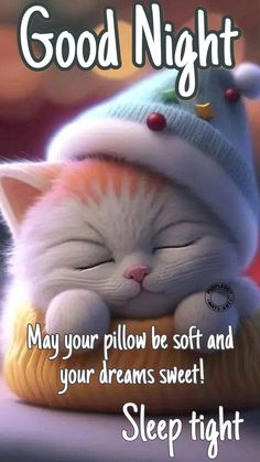 a cat sleeping on top of a pillow with its eyes closed and the caption good night may your pillow be soft and your dreams sweet sleep tight