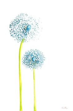 two dandelions with blue flowers in the middle on a white background by itself