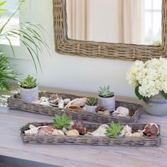 two wicker trays filled with succulents and plants on a table