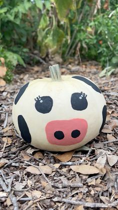 a painted pumpkin sitting on the ground in front of some leaves and plants, with a cow's face drawn on it