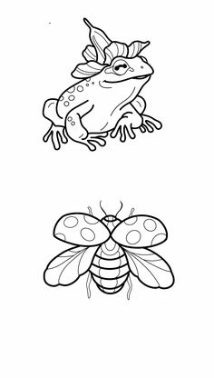 three different types of insect coloring pages