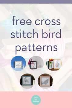 the free cross stitch bird pattern is featured in this page, which includes pictures and text