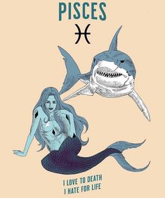 a drawing of a mermaid and a shark with pisces written on the side