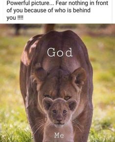 a lion and its cub walking in the grass with text that reads,'powerful picture fear nothing in front of you because of who is behind me