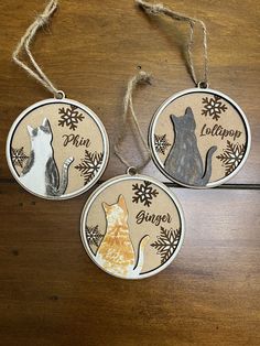 three ornaments with cats on them are hanging from twine strings and decorated with snowflakes