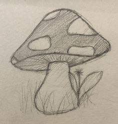 a pencil drawing of a mushroom sitting in the grass