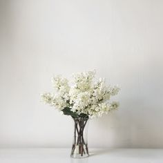 a vase filled with white flowers on top of a table