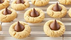 peanut butter cookies with chocolate frosting on a cooling rack, ready to be baked