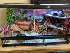 a fish tank filled with lots of different types of plants and rocks on top of a table