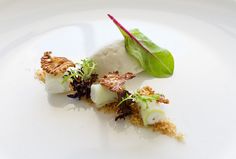 a white plate topped with food on top of a green leafy vegetable covered dish