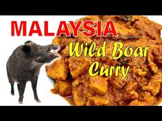 an animal standing next to a plate of food with the words malaysia wild boar curry