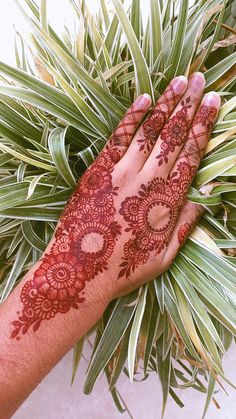 a woman's hand with red henna on it and palm leaves in the background