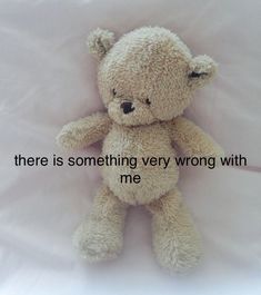 there is something very wrong with me written on the teddy bear's back side