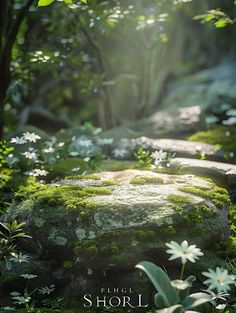 the sun shines brightly through the trees and rocks in the forest with white daisies