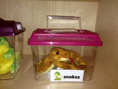 two plastic containers with stuffed animals in them on a shelf next to a sign that says snakes