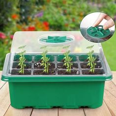 a green plastic container filled with plants on top of a wooden table