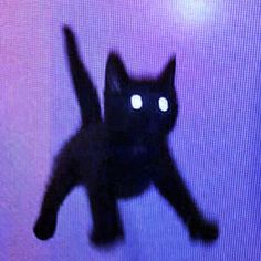 a black cat with glowing eyes on it's back legs is seen from above