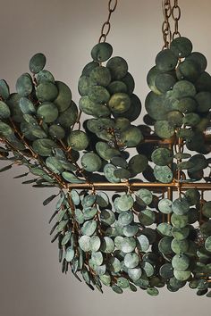 a chandelier with green leaves hanging from it