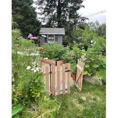 the garden is full of flowers and plants, including an old fenced in shed