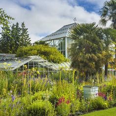 a garden filled with lots of different types of flowers and plants next to a building