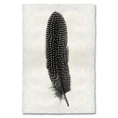 a black and white photo of a feather