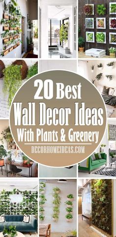 20 best wall decor ideas with plants and greenery in the living room or bedroom