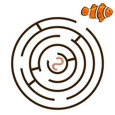 an orange fish swims through a circular maze