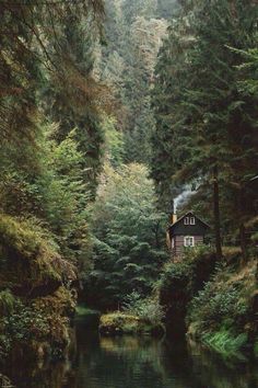 a small cabin in the middle of a forest next to a body of water with trees around it