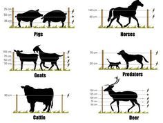 four different types of cows and goats in the same area, each with their own silhouettes