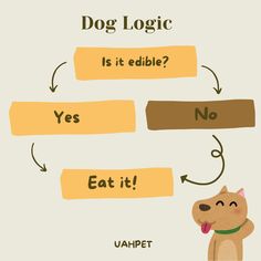 a dog is looking at the sign that says, dog logic is it edible? yes