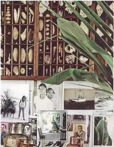 there are many pictures on the wall with plants and other things in them, including vases