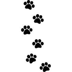 an animal paw prints on a white background