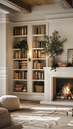 a living room with a fire place and bookshelves filled with lots of books