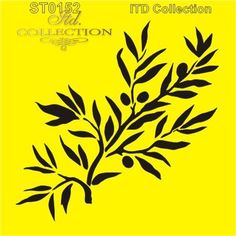 an olive branch on a yellow background with the words, stooz art collection