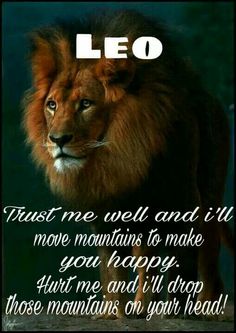 a lion with the words leo on it's face, and an image of a lion