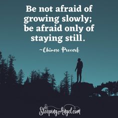 Be not afraid of growing slowly; be afraid only of staying still. ~Chinese Proverb Be Not Afraid, Chinese Proverbs, Not Afraid, Be Afraid, Proverbs