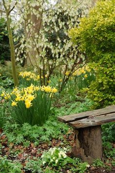 a wooden bench sitting in the middle of a garden