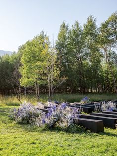 an empty park with benches and flowers in the grass