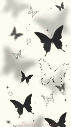 black and white butterflies flying in the sky