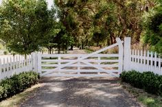 a white picket fence with trees lining the sides and an open gate leading to it