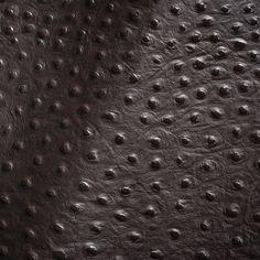 an ostrich leather texture with rivets