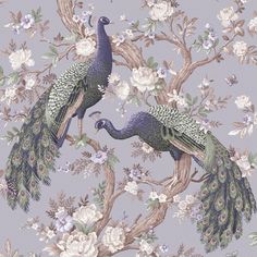 two peacocks are standing on the branches of a tree with white and blue flowers