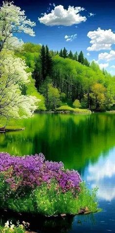 a lake surrounded by green trees and purple flowers