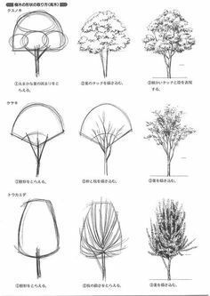 various types of trees are shown in this drawing