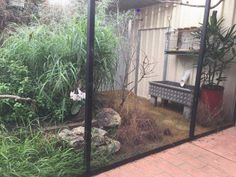 a caged in area with plants and a bench