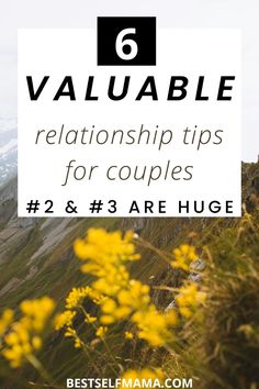 yellow flowers and mountains with the text, valuable relationship tips for couples 2 & 3 are huge