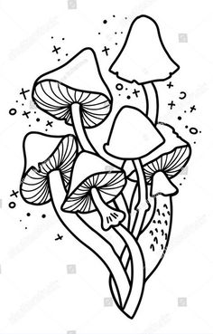 black and white ink drawing of mushrooms