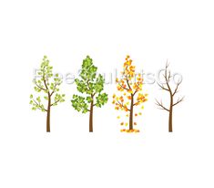 four different types of trees with leaves